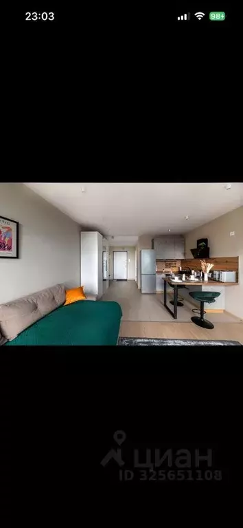 Студия Москва Газгольдерная ул., 10 (28.0 м) - Фото 2