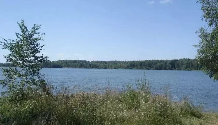 Участок в Смоленская область, Гагаринский район, д. Савино  (7.6 сот.) - Фото 0