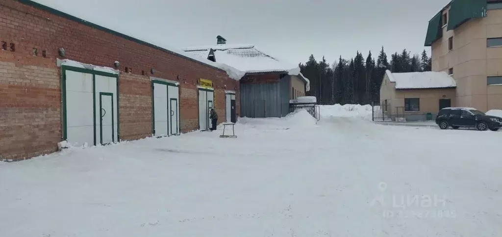 Помещение свободного назначения в Коми, Ухта ул. Машиностроителей, 4с3 ... - Фото 0