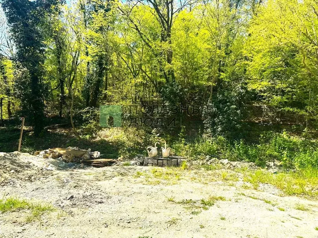 Участок в Краснодарский край, Новороссийск Родничок СНТ,  (8.0 сот.) - Фото 2