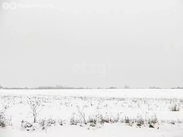 Участок в Вологодский муниципальный округ, деревня Коренево (15.19 м) - Фото 0