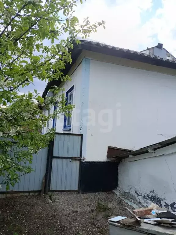 Дом в Белгородская область, Вейделевка рп ул. Октябрьская, 38/2 (66 м) - Фото 1