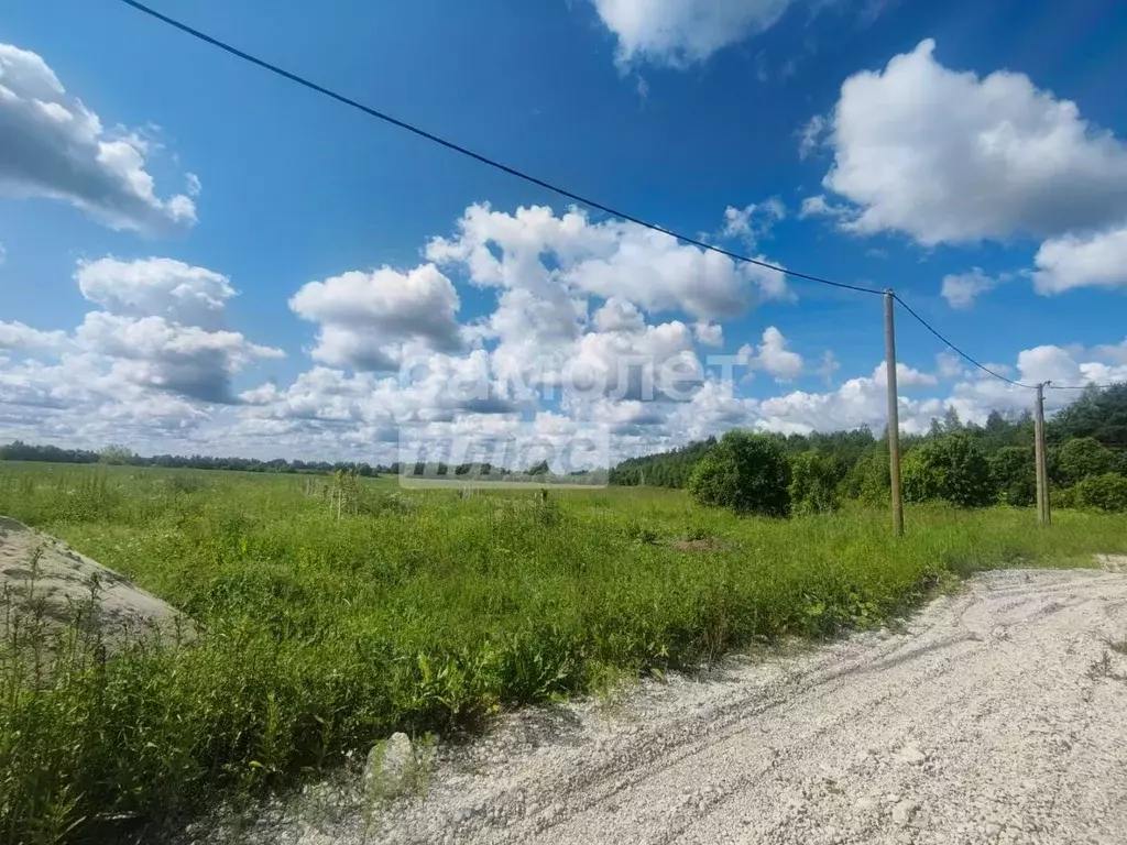 Участок в Ленинградская область, Тосненский район, Любанское городское ... - Фото 1