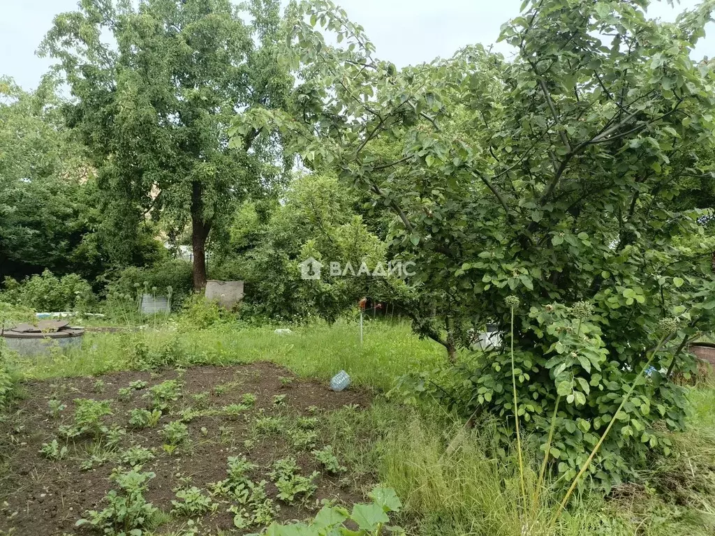 Участок в Калининградская область, Калининград Чайка СНТ, ул. ... - Фото 1