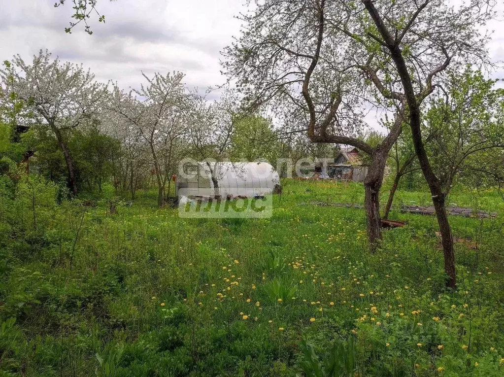 Дом в Липецкая область, Липецк Строитель СТ, 1300 (30 м) - Фото 2