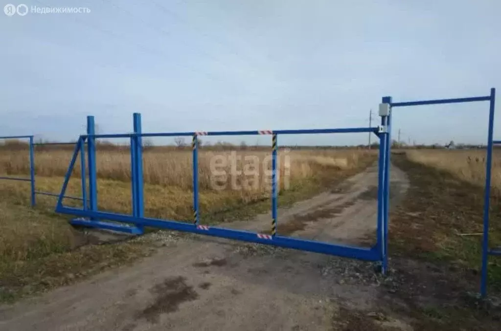 Участок в Колыванский район, ДНТ Союз силовых структур Родины (6 м) - Фото 0