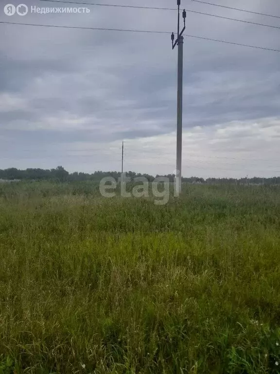 Участок в Томская область, село Кожевниково (835 м) - Фото 0