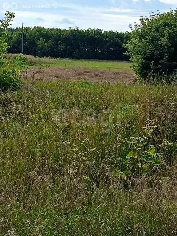 Участок в село Баюновские Ключи, Солнечная улица (8 м) - Фото 2
