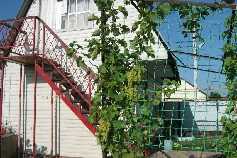 Дом в Оренбургская область, Соль-Илецк ул. Пушкина, 81 (20 м) - Фото 1