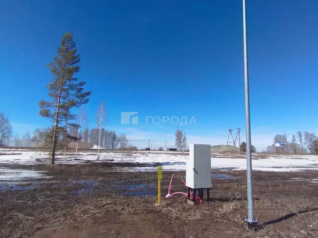 Участок в Алтайский край, Первомайский район, с. Фирсово ул. Пионовая, ... - Фото 1