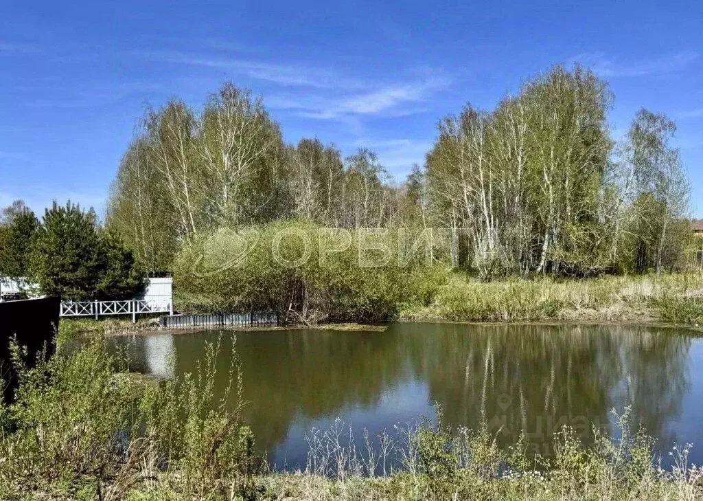 Участок в Тюменская область, Тюменский район, Новокаменский кп ул. ... - Фото 1