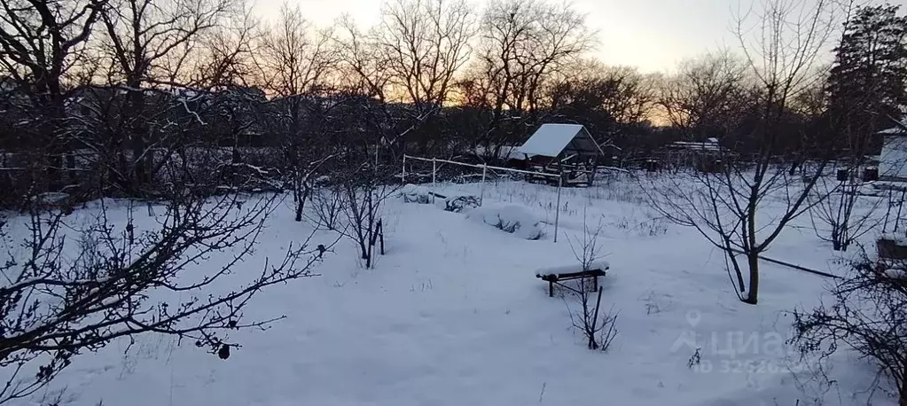 Участок в Волгоградская область, Волгоград Мичуринец СНТ,  (8.0 сот.) - Фото 1