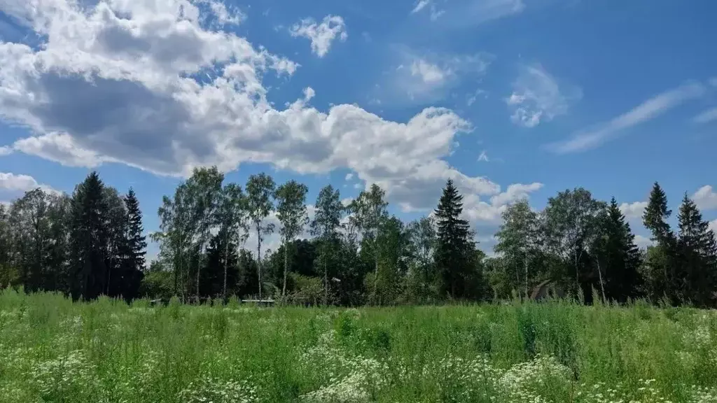 участок в московская область, одинцовский городской округ, с. . - Фото 0