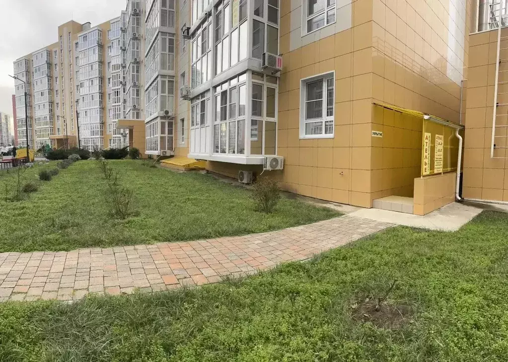 Помещение свободного назначения в Краснодарский край, Анапа ул. ... - Фото 1