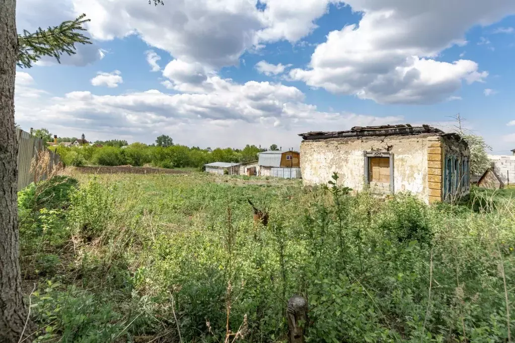 Участок в Алтайский край, Барнаул городской округ, пос. Бельмесево ул. ... - Фото 1