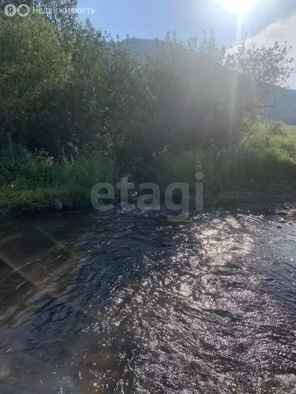Участок в Шебалинский район, село Шебалино (7 м) - Фото 2