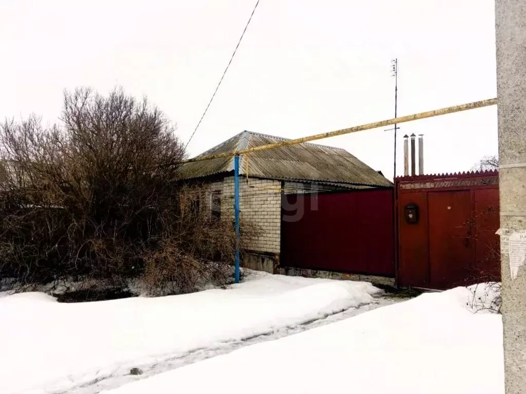 Дом в Белгородская область, Поселок Чернянка городское поселение, ... - Фото 1