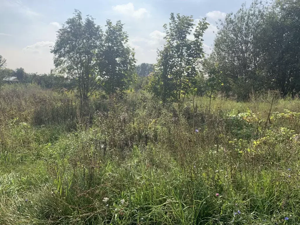 Участок в Московская область, Пушкинский городской округ, д. Цернское  ... - Фото 1