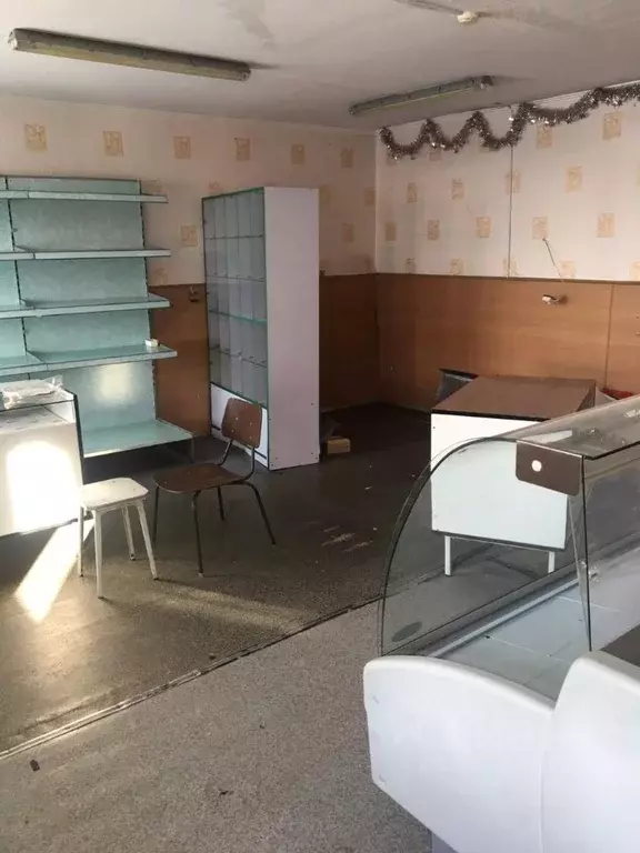 Помещение свободного назначения в Камчатский край, Мильковский ... - Фото 2