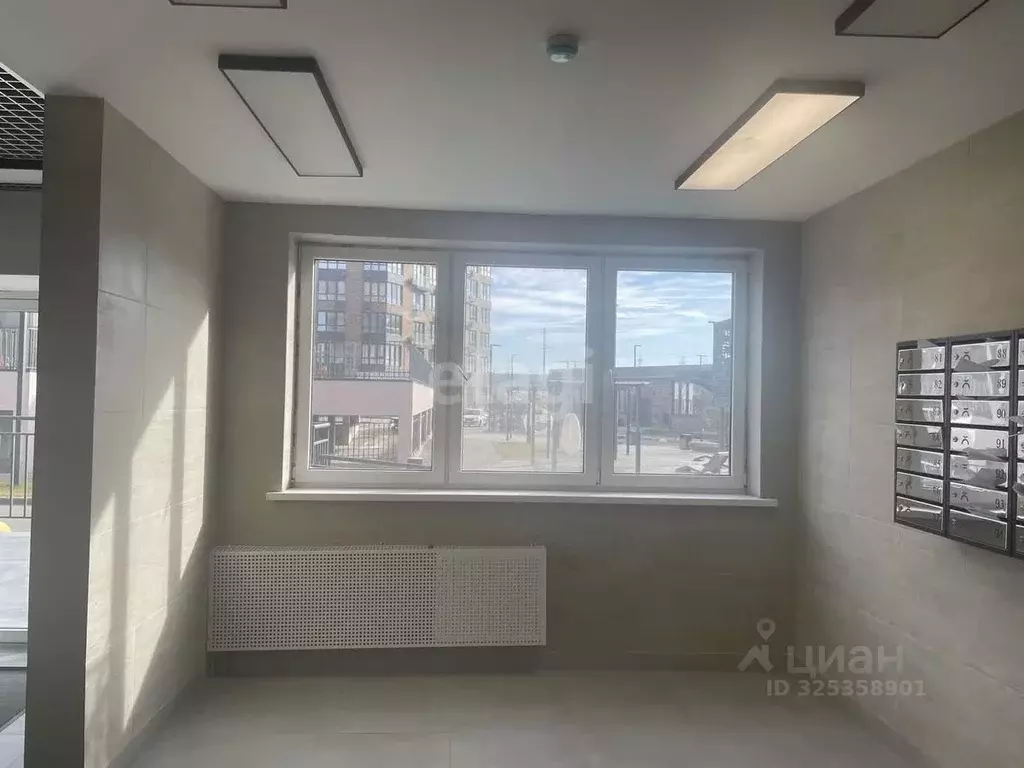 Студия Адыгея, Майкоп ул. К.А. Васильева, 2/1 (19.8 м) - Фото 1