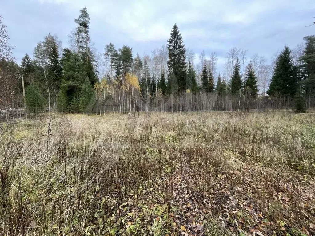 Участок в Ленинградская область, Приозерское городское поселение, пос. ... - Фото 0