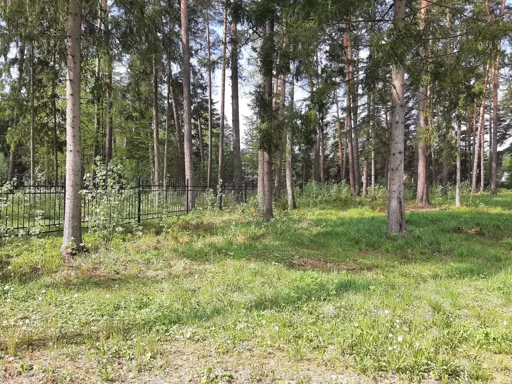 Участок в Московская область, Черноголовка городской округ, с. ... - Фото 2