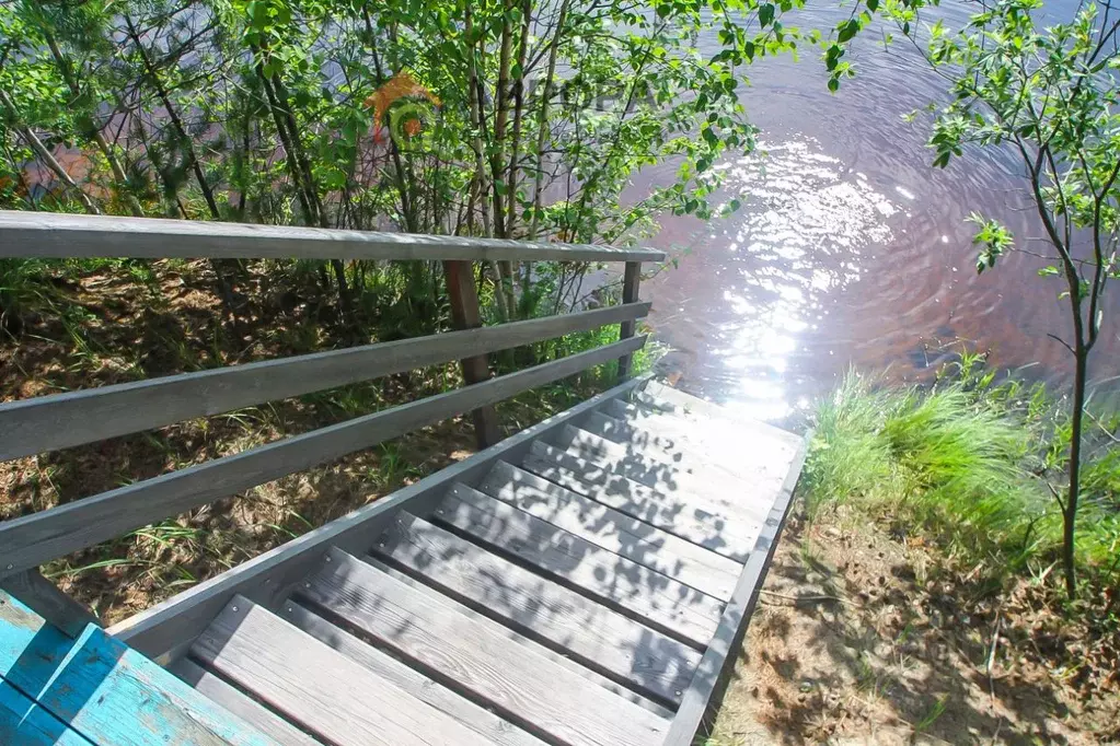 Дом в Ханты-Мансийский АО, Сургут № 45 Заречный СОТ,  (55 м) - Фото 2