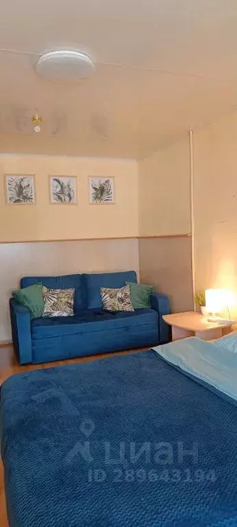 1-к кв. Пермский край, Пермь Екатерининская ул., 184 (31.0 м) - Фото 2