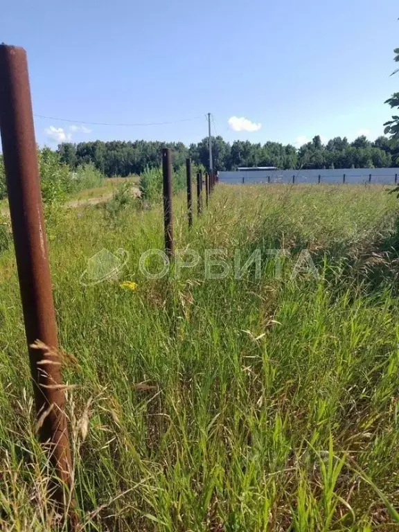 Участок в Тюменская область, Тюменский район, д. Криводанова  (10.0 ... - Фото 1