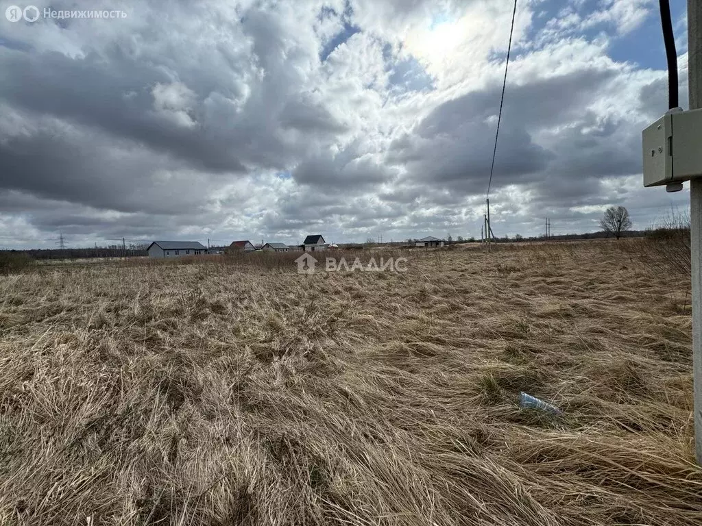 Участок в Калининградская область, Багратионовский муниципальный ... - Фото 1