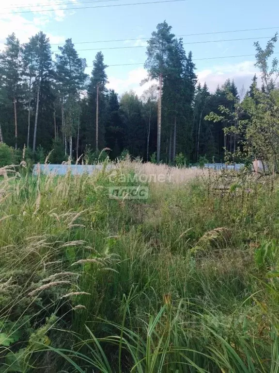 Дом в Московская область, Одинцовский городской округ, 30 лет Октября ... - Фото 1