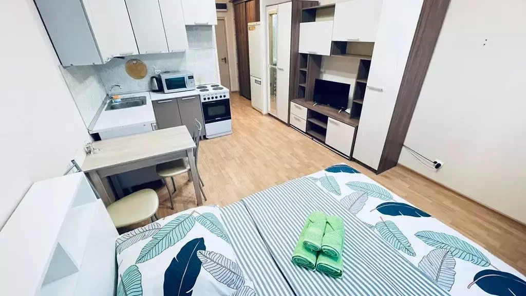 Студия Московская область, Щелково Краснознаменская ул., 17к5 (30.0 м) - Фото 1