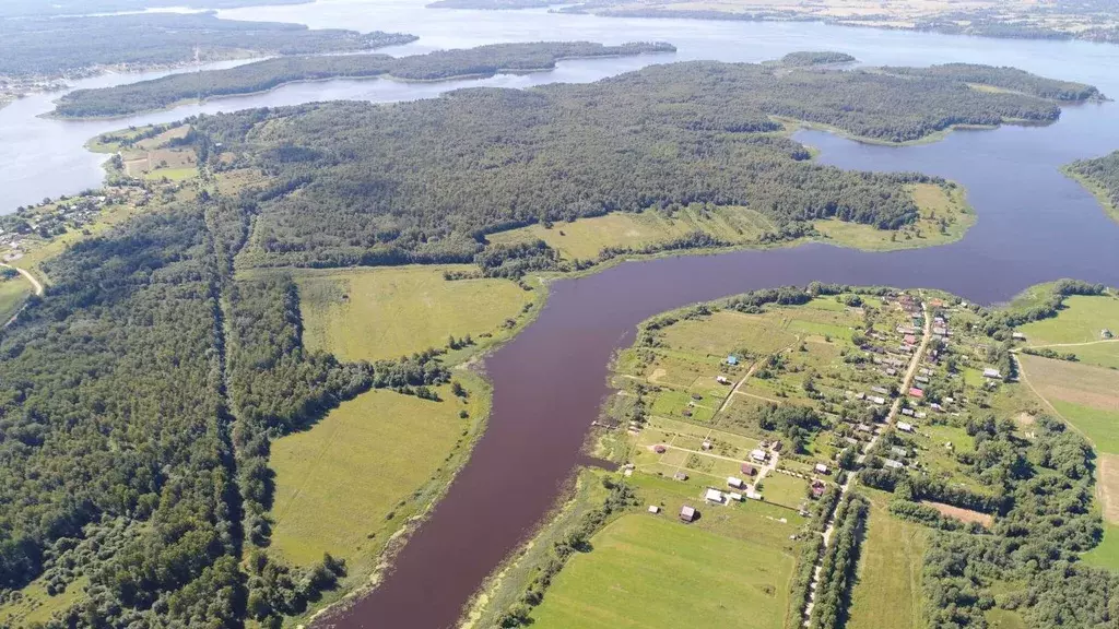 Участок в Ярославская область, Угличский муниципальный округ, д. ... - Фото 2