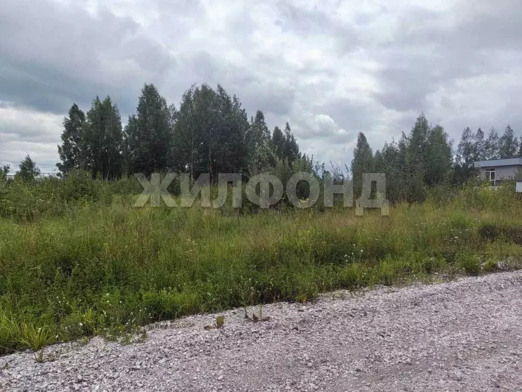 Участок в Новосибирская область, Новосибирский район, Барышевский ... - Фото 1