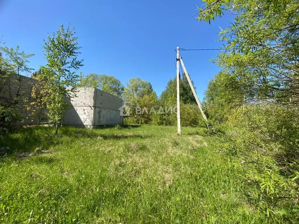 Участок в Пензенская область, Бессоновский район, с. Чемодановка ... - Фото 1