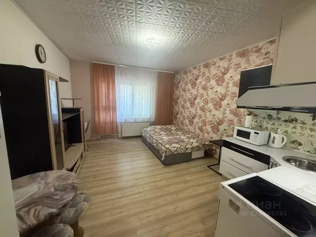 Студия Ленинградская область, Кингисепп ул. Воровского, 50к2 (30.0 м) - Фото 1