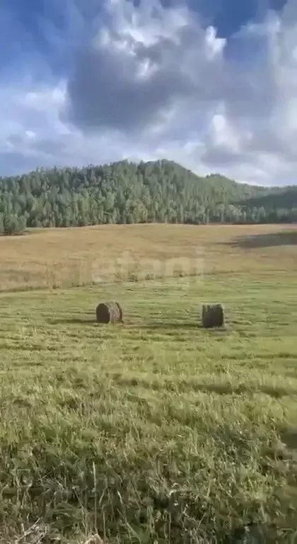Участок в Алтай, Чемальский район, Аносинское с/пос, Алтай Рест тер.  ... - Фото 1