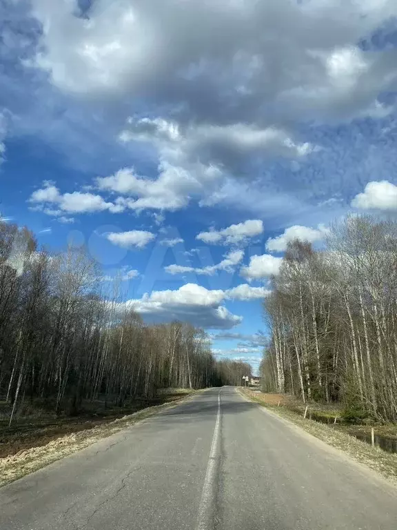 Участок 24 сот. (ИЖС) - Фото 1