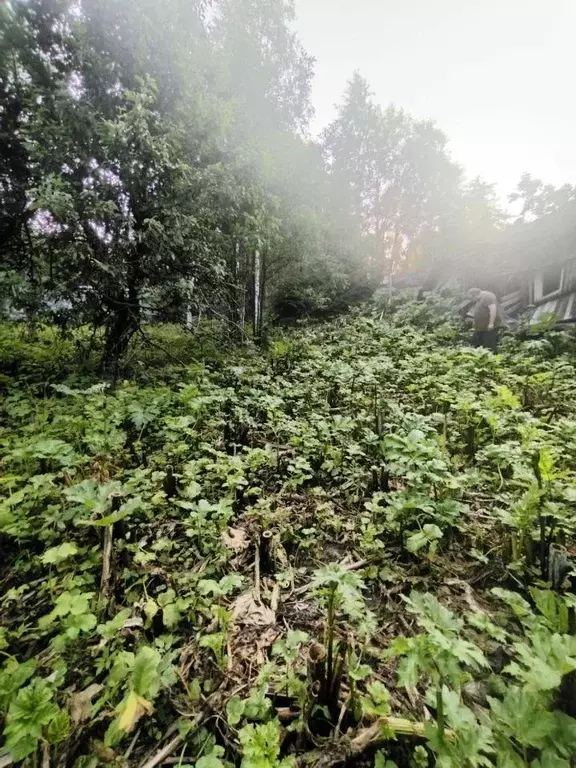 Участок, 15 сот., поселения (ижс) - Фото 2