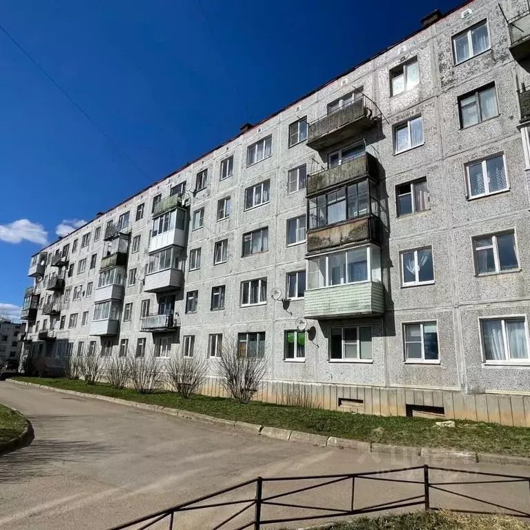 1-к кв. Ленинградская область, Волосовский район, Большеврудское ... - Фото 1