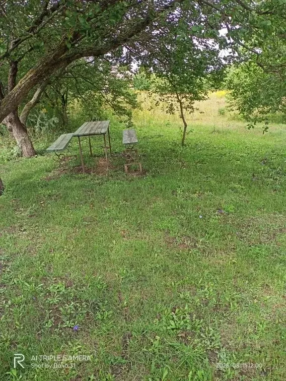 Участок в Белгородская область, Белгородский район, Ериковское с/пос, ... - Фото 1