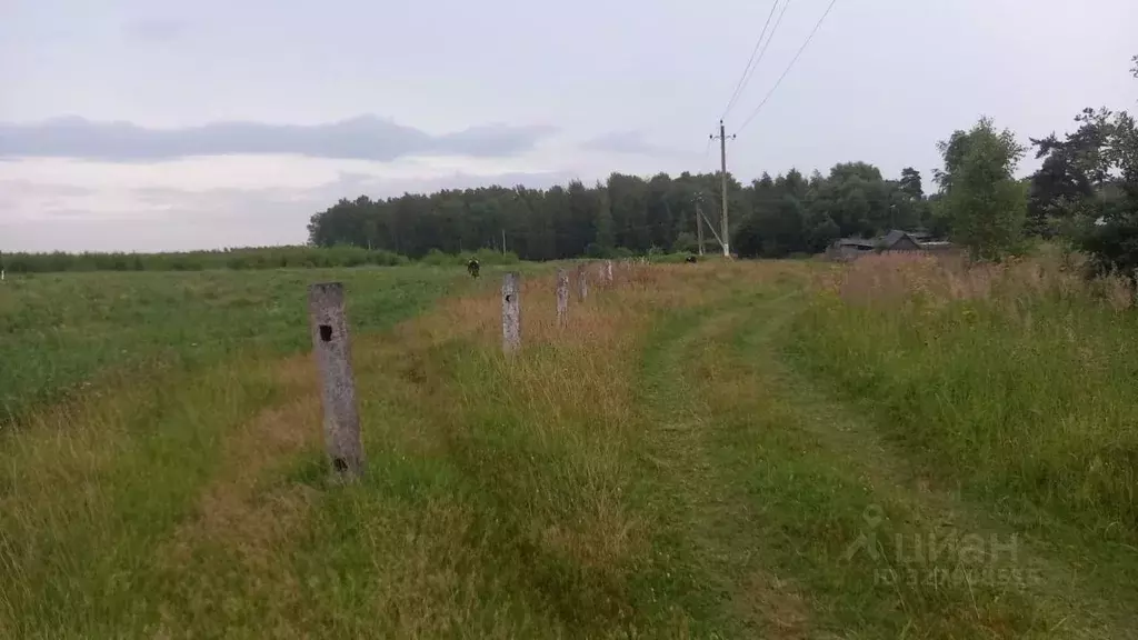 Участок в Московская область, Лотошино муниципальный округ, пос. ... - Фото 1