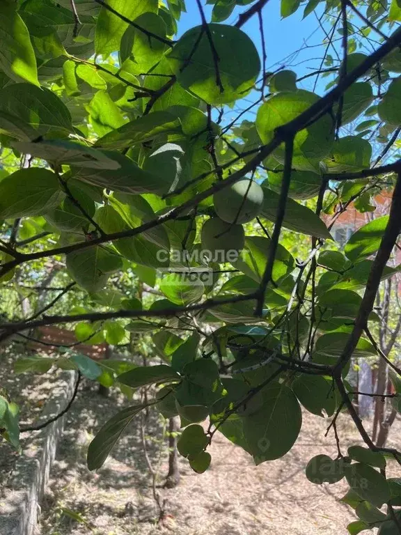 Коттедж в Краснодарский край, Сочи Подгорная ул., 5 (88 м) - Фото 2