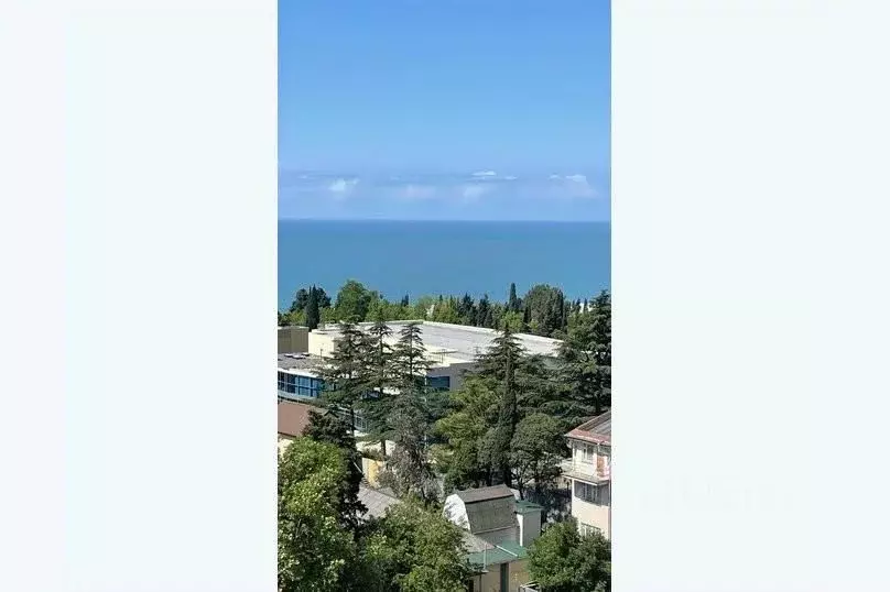 2-к кв. Краснодарский край, Сочи Виноградная ул., 19 (75.0 м) - Фото 1