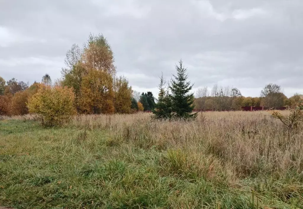 Участок в Московская область, Можайский муниципальный округ, д. ... - Фото 1
