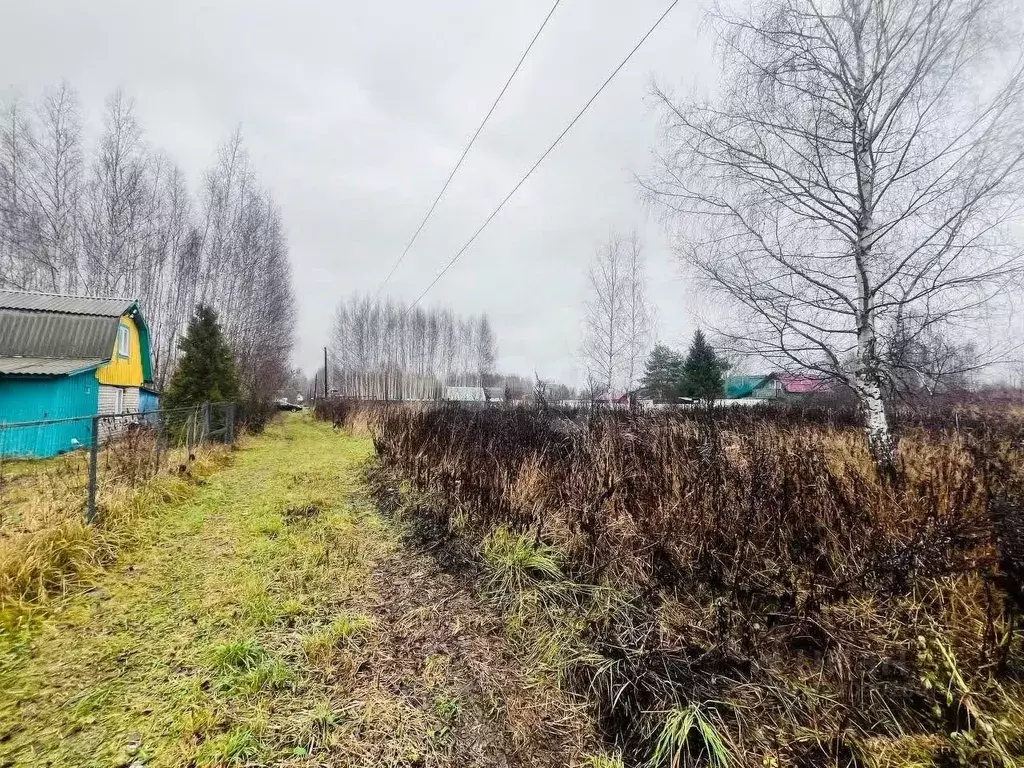 Участок в Костромская область, Костромской район, Бакшеевское с/пос, ... - Фото 1