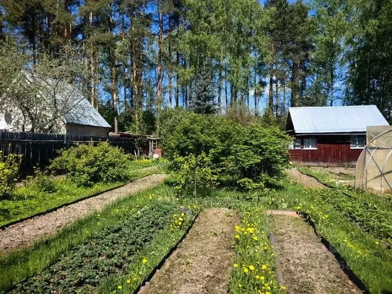 Дом в Московская область, Богородский городской округ, Березка-4 СНТ  ... - Фото 1