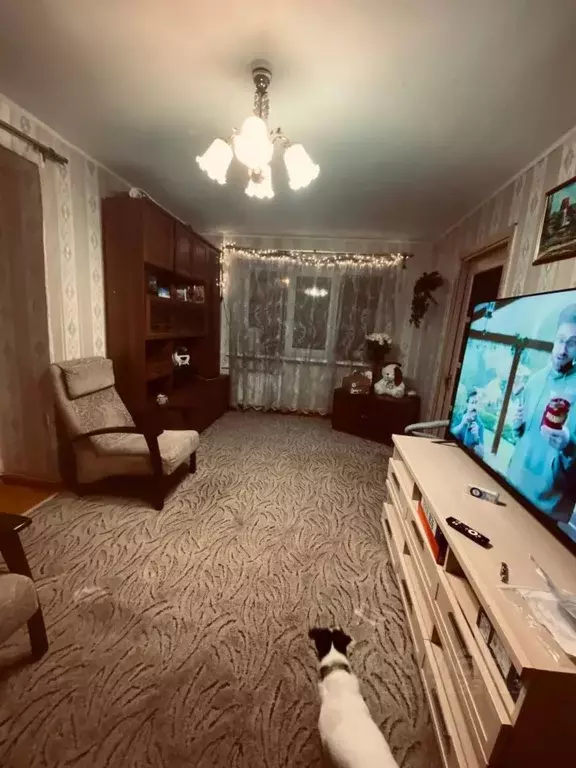 3-к кв. Свердловская область, Екатеринбург ул. Грибоедова, 10 (50.6 м) - Фото 1