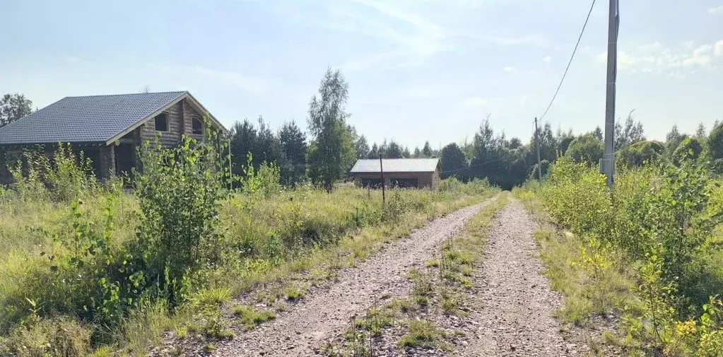 Участок в Ленинградская область, Выборгский район, Рощинское городское ... - Фото 0