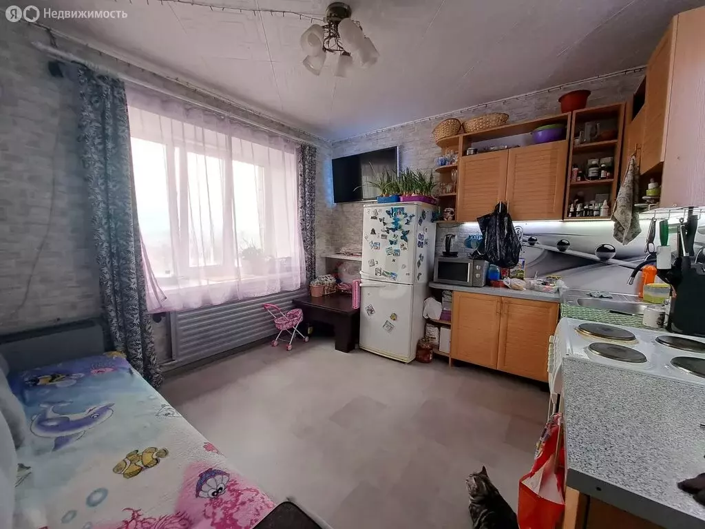 1-комнатная квартира: Вологодская область, рабочий посёлок Шексна, ... - Фото 2